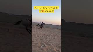 أصغر بنت خياله.( جود وقمرا ) فتح بالميدان ماشاء الله تبارك الله 🐎😍