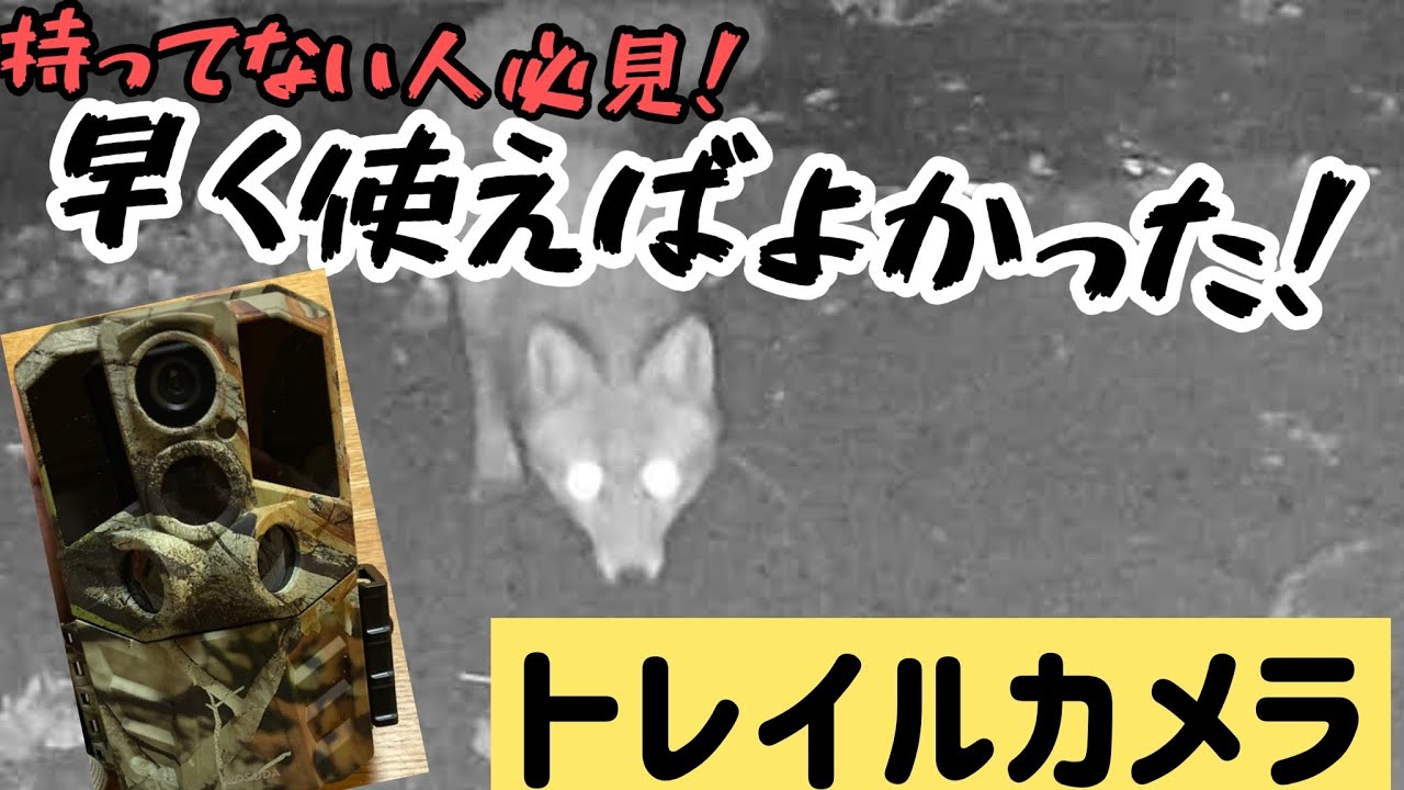HC-900Pro 4Gトレイルカメラ 30MP 4K動画 HC-900Pro 4Gトレイルカメラ