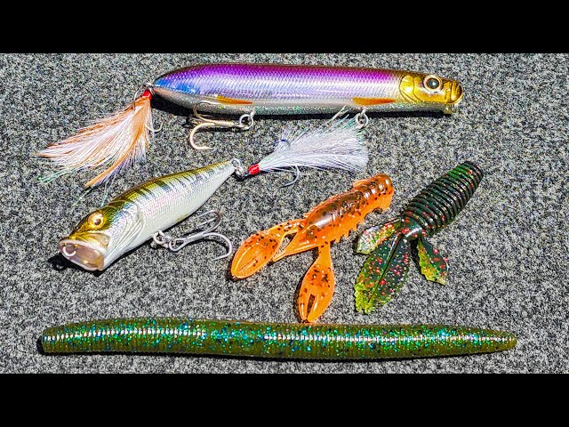 Topwater Popper and BFS (Bait Finesse) For Spring Bass! 