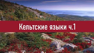 Кельтские языки ч.1