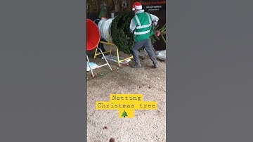 Netting Christmas Tree #shorts #christmas #uk