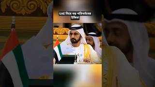 UAE Geopolitical Position | Strategic Outlook & Regional Developments Analysis
