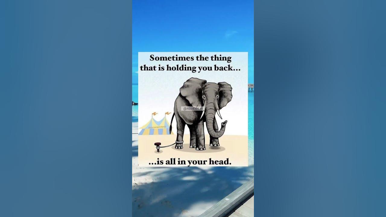 what-is-holding-you-back-youtube