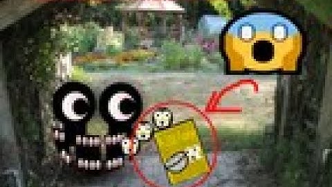 REAL INTERMINABLE ROOMS E-200 FLAKES *GONE WRONG*