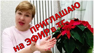 Надо выговориться! У меня своя позиция! Приглашаю на Прямой Эфир