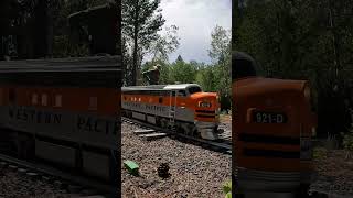 Switching at Steuer