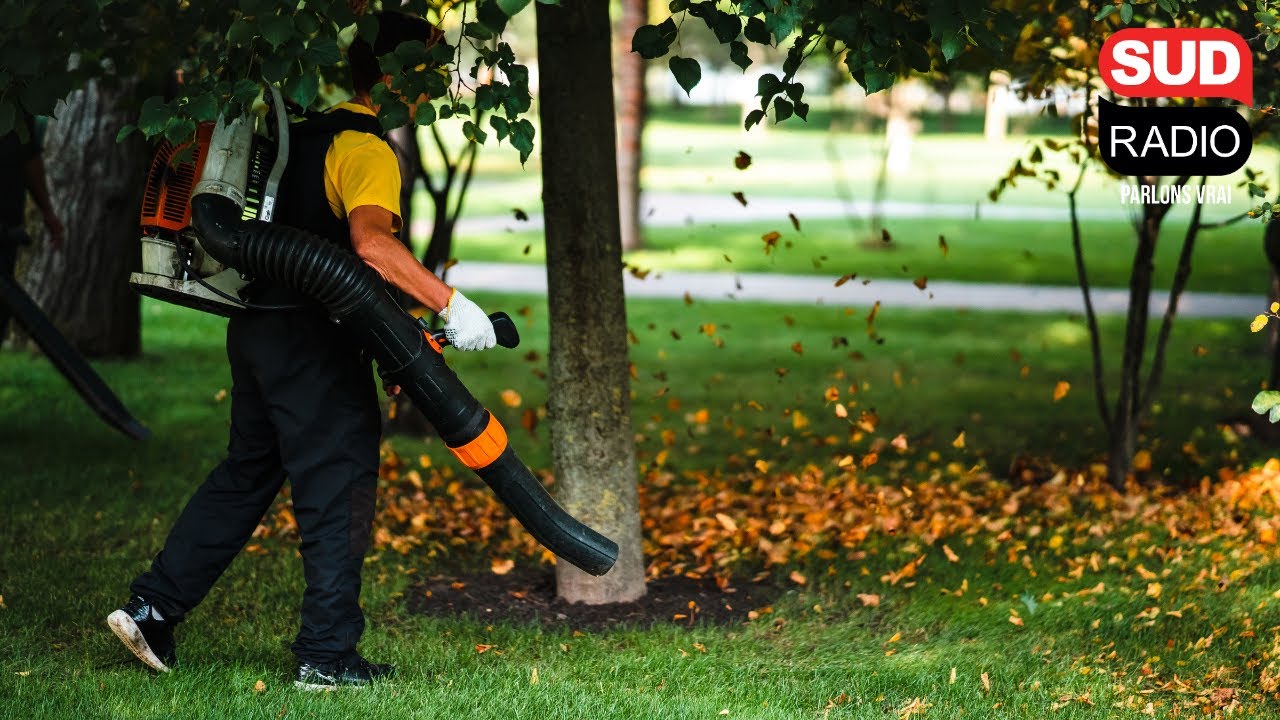 Feux de forêt et de végétation : Pourquoi faut-il débroussailler son terrain et quand le faire ?