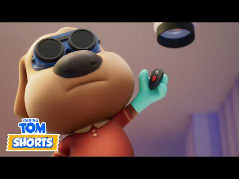 Machine à billes complètement folle! | Talking Tom & Friends France | Dessin animé