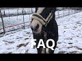 Faq  2 partie 