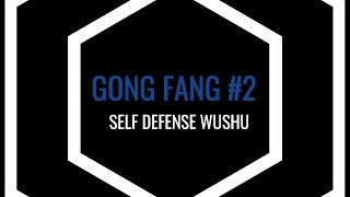 GONG FANG #2 COUP DE POING GAUCHE AU CORPS