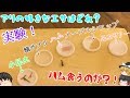 アリは甘い物が好きとは限らない?!アリさんが選ぶエサはどれだ?!(;゚Д゚)