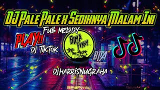 DJ PALE PALE X SEDIHNYA MALAM INI - New 2020 Haris Nugraha - Full Melody