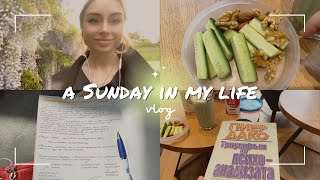 Productive Sunday • Gym, Church, University, Books