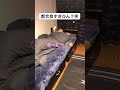 すみません兄貴、一回で返事しなくてｗｗｗ【Tiktok】