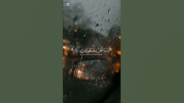#القارئ_ياسر_الدوسري #quran #سورة المؤمنون#ولئن اطتعم بشرا مثلكم