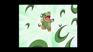 Pokemon DP Turtwig breaks up piplup and aipoms fighting