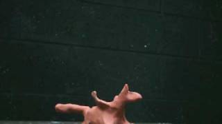 Clay Morph
