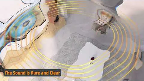 Neoteck 192kHz DAC Converter SPDIF to RCA Cable 6ft Built-in Audio Amplifier Chipset