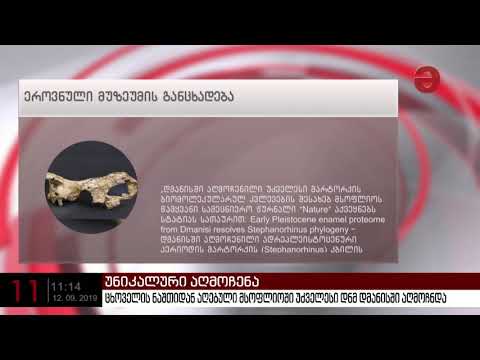 ცხოველის ნაშთიდან აღებული მსოფლიოში უძველესი დნმ დმანისში აღმოჩნდა