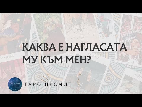 Видео: Нагласата е отношение?