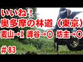 【やるな東京！】奥多摩の3林道を探訪【しっかり林道】