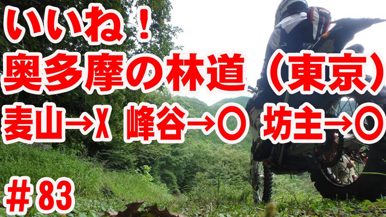 【やるな東京！】奥多摩の3林道を探訪【しっかり林道】