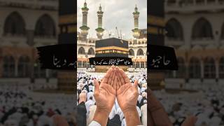 Hajiyo Mustafa Sy Kh Daina ❤🥰👍