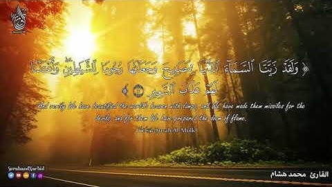 سورة الملك قراءة رائعة المقرئ الشيخ محمد هشام