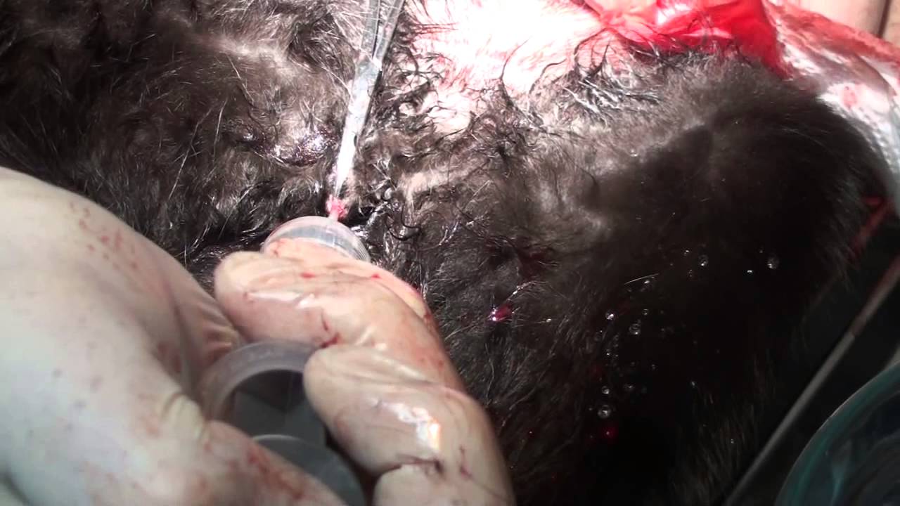 of meaning weird YouTube Straining Blockage Urinary Cat Pee: to of meaning weird YouTube Straining Blockage Urinary Cat Pee: to