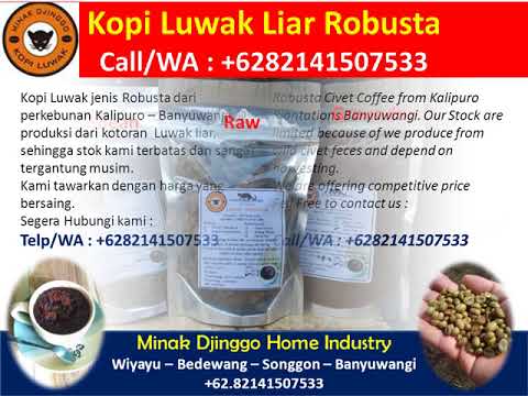 What Kopi Luwak Online Shop