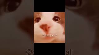 Kendini Iyi Hissetmeyenlere Büyük Hizmet