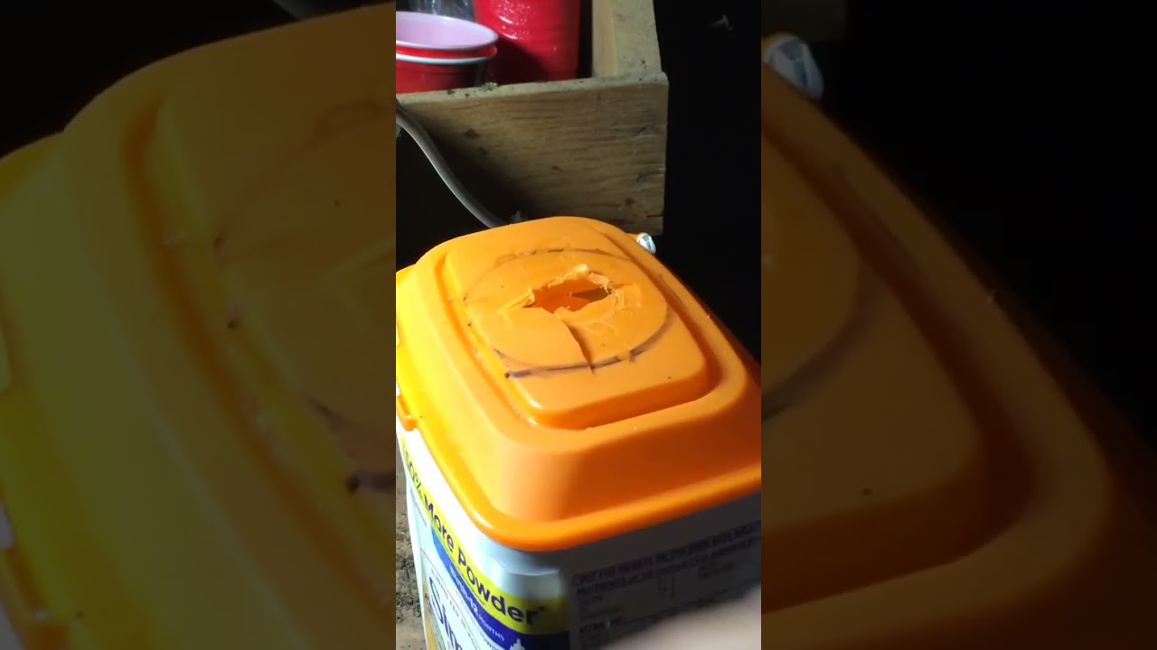 Why Cut a Hole in This Lid for a Tomato Seedling?