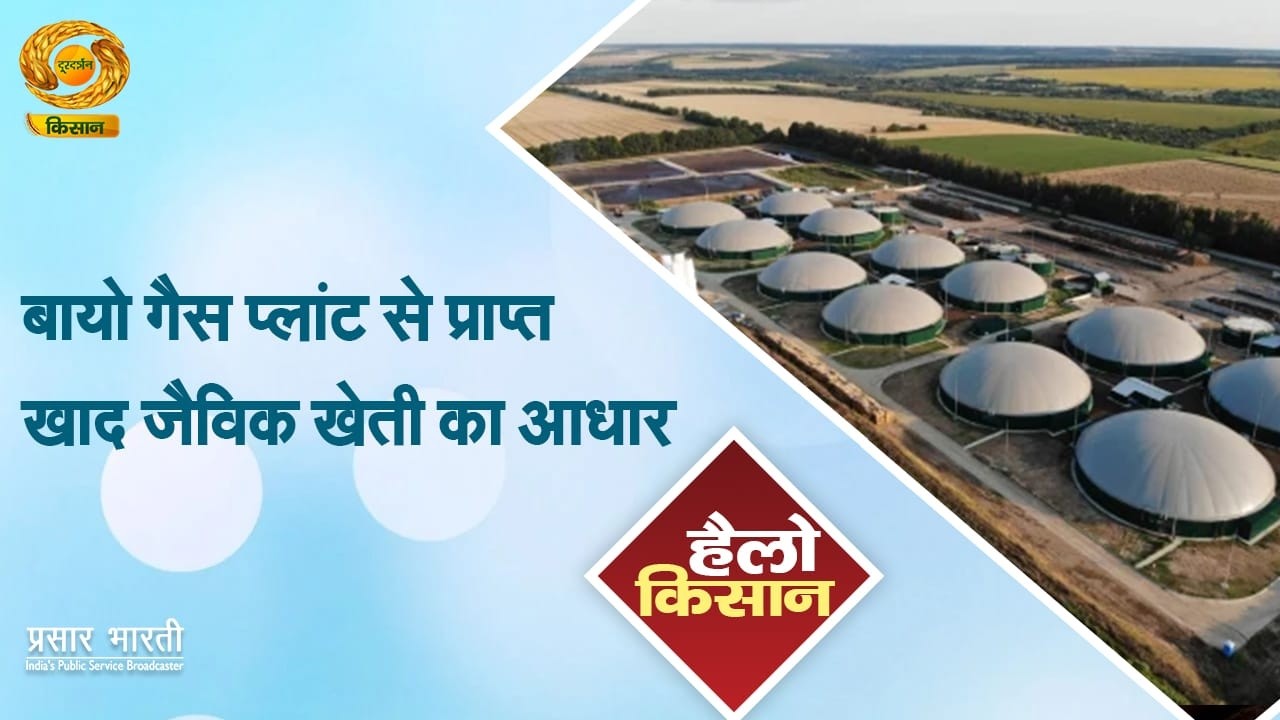 Hello Kisan | हैलो किसान- बायो गैस प्लांट से प्राप्त खाद जैविक खेती का आधार | DD Kisan | February 20