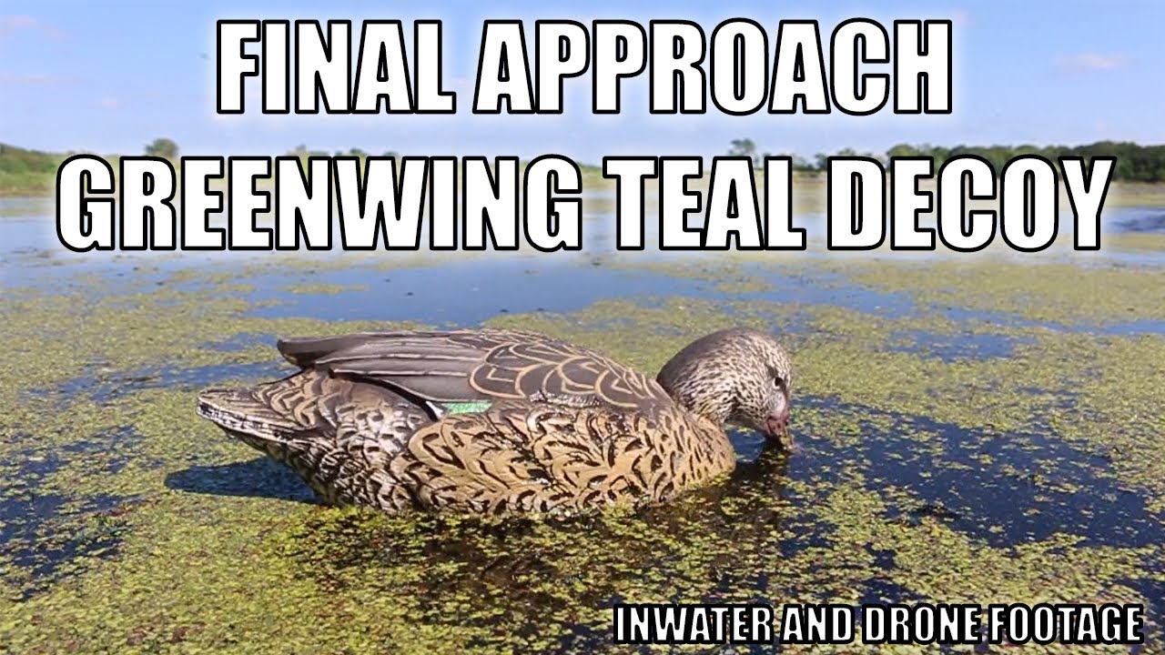 FINAL APPROACH GREENWING TEAL DECOY REVIEW | INWATER & DRONE FOOTAGE
