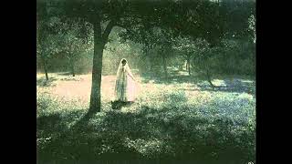 Gaetano Braga, La Serenata Leggenda Valacca