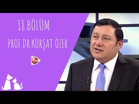 Video: Kanserli Evcil Hayvanlar İçin Egzersiz Güvenli Mi?