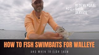 How To Fish Swimbaits for Walleye - And When To Fish Them