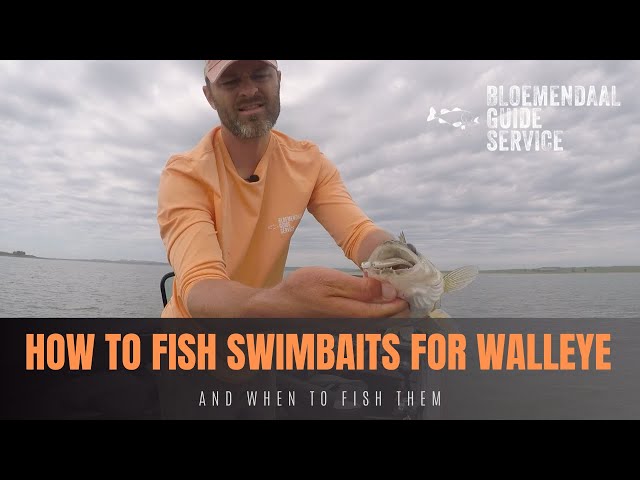 How To Fish Swimbaits for Walleye - And When To Fish Them 