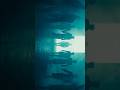 #ENHYPEN 'THE SIN : VANISH' Album Teaser