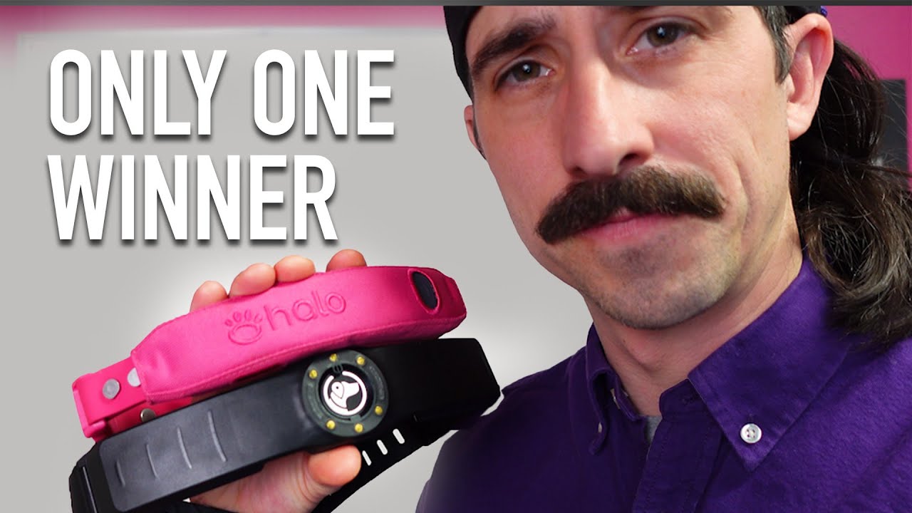 The BEST GPS Collar 2026 (Halo 5 vs SpotOn Nova)