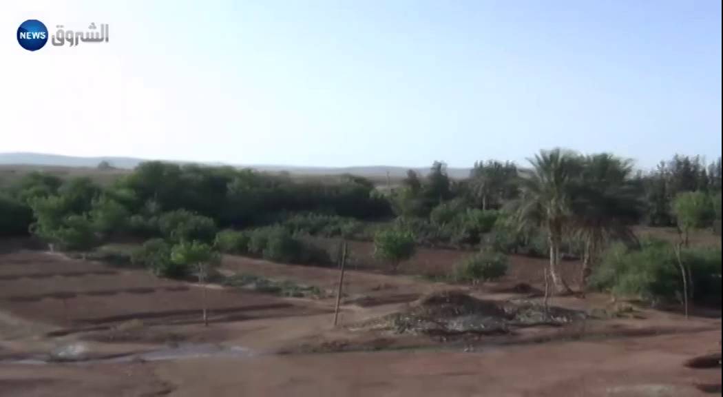 الأغواط / بلقاسم لبيض.. مجاهد تتذكره الثورة وينساه المسؤولون