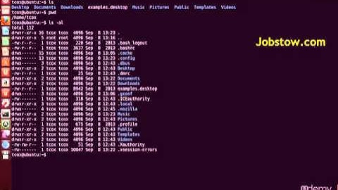 Basic File and Directory Management - Introduction To Linux Lecture 15