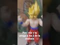 vos y tu amigo