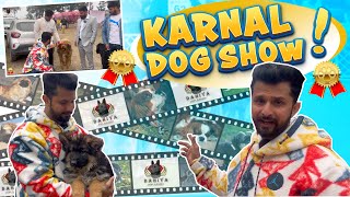 KARNAL DOG SHOW 2024 // international level dog show // meet @amanandbully pART 1