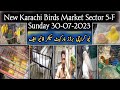 New Karachi Birds Market Sector 5-F Sunday 30-07-2023|Sunday Birds Market Karachiنیوکراچی برڈزمارکیٹ