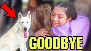 Saying GOODBYE To The MISSING PUPPY! **FOREVER**   | Familia Diamond
