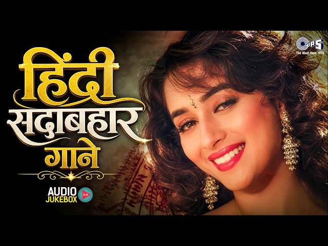 हिंदी सदाबहार गाने | 90's Evergreen Songs | 90's Sadabahar Gaane | Hindi Songs | Hindi Gana
