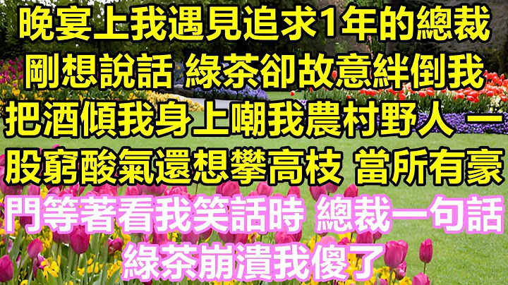 晚会上我遇到了追求了一年的总裁，正准备开口说话时，那个绿茶故意绊倒我，把酒洒在我身上嘲讽我出身寒微，竟然还想攀附权贵，当所有富豪都在等着看我的笑话时，总裁的一句话让绿茶崩溃，我愣住了。