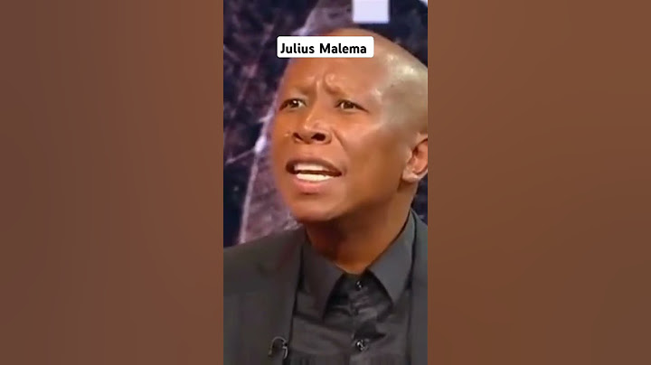 GAYTON MCKENZIE /Julius Malema Border ISSUE #2024 #eff