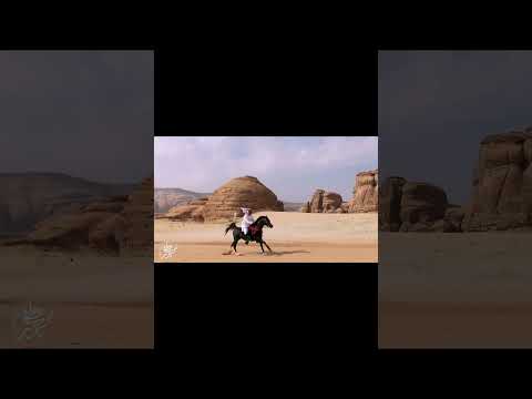 من رحلاتنا الجميلة ب الخيل الى العلا المداخيل